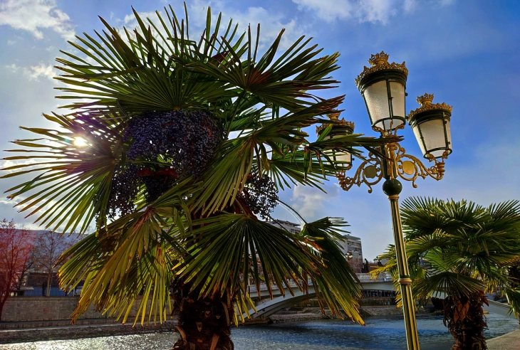 До крајот на неделата сончево, максималната температура над просекот