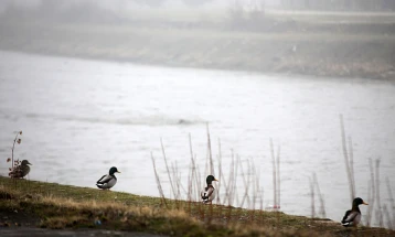 Weather: Morning fog, mostly sunny later; high 13°C