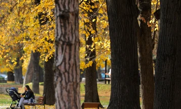 Mot me diell deri në fund të javës, mjegull e mëngjesit nëpër lugina