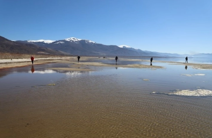 Во Преспанско Езеро кај селото Наколец откриен редок органски материјал