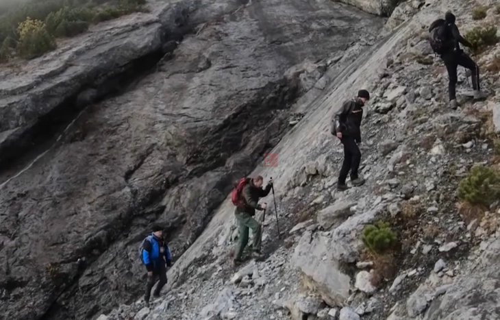 Во северна Италија откриени илјадници отпечатоци од диносауруси