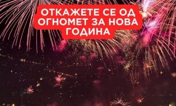 Stop polluting Skopje air with fireworks, environmental activists say