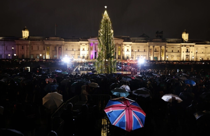 „Тажен кактус“: Норвешка ја брани елката-подарок во Лондон