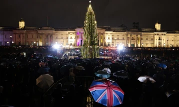 „Тажен кактус“: Норвешка ја брани елката-подарок во Лондон