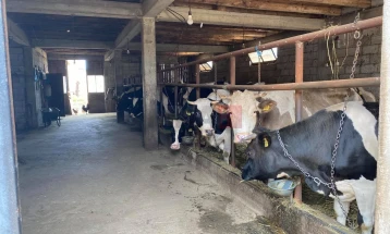 MBPEU: Janë paguar 335.963.096 denarë ndaj 1.211 blegtorëve