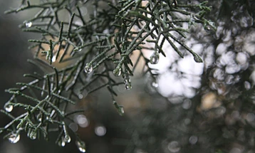 Променливо облачно, дожд и снег во југозападните делови од државата