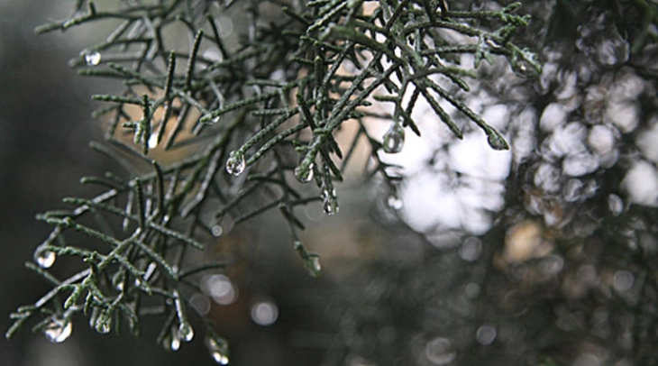 Weather: Cloudy with sunny spells; southwesternmost parts may see snow; high 10°C