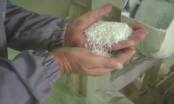 МЗШВ: Исплатени над 39 милиони денари на 663 оризопроизводители