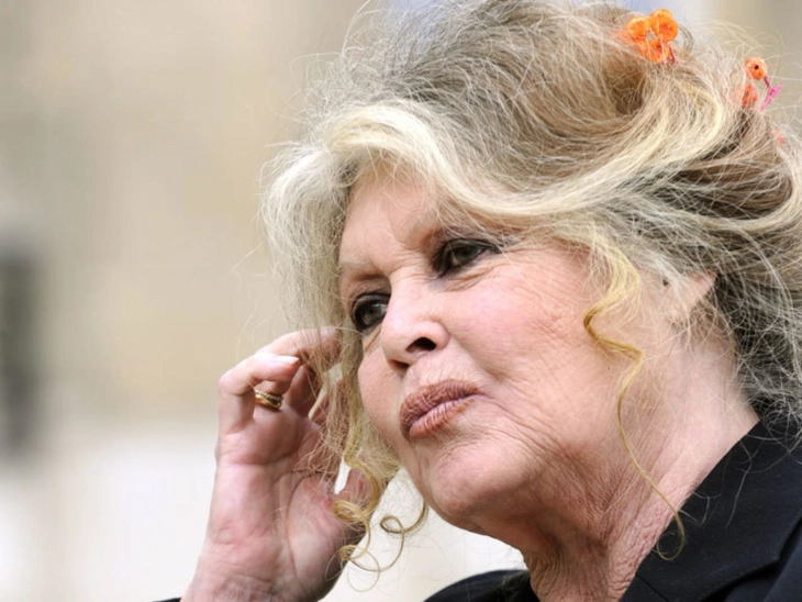 French film icon, animal rights activist Brigitte Bardot dead at 91