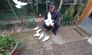 Еден конгрес го дели македонскиот гулаб-вртач да биде регистриран и признат како автохтон