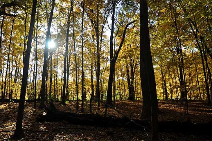 Mot me diell dhe i ftohtë me vranësira të vogla deri mesatare