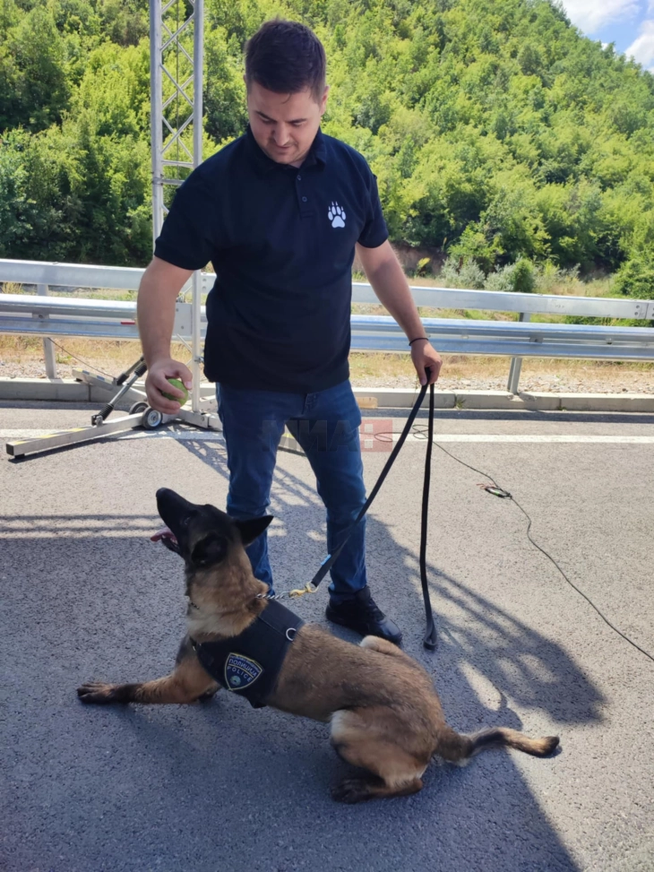 Полициската кучка Атина се грижи за безбедноста, нејзина специјалност е заштита од експлозивни средства и направи