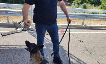 Полициската кучка Атина се грижи за безбедноста, нејзина специјалност е заштита од експлозивни средства и направи