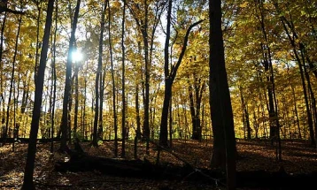 Weather: Clear skies; high 12°C