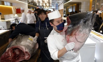 Туна синоперка продадена на аукција за 2,7 милиони евра во Токио