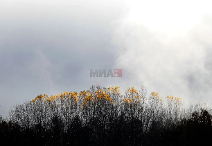 Божикната вечер ќе биде дождлива, а на планините ќе паѓа снег