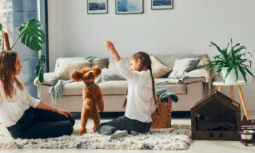 Свеста за правилно чување миленик подигната, но дел од бездомната популација е на неодговорни сопственици