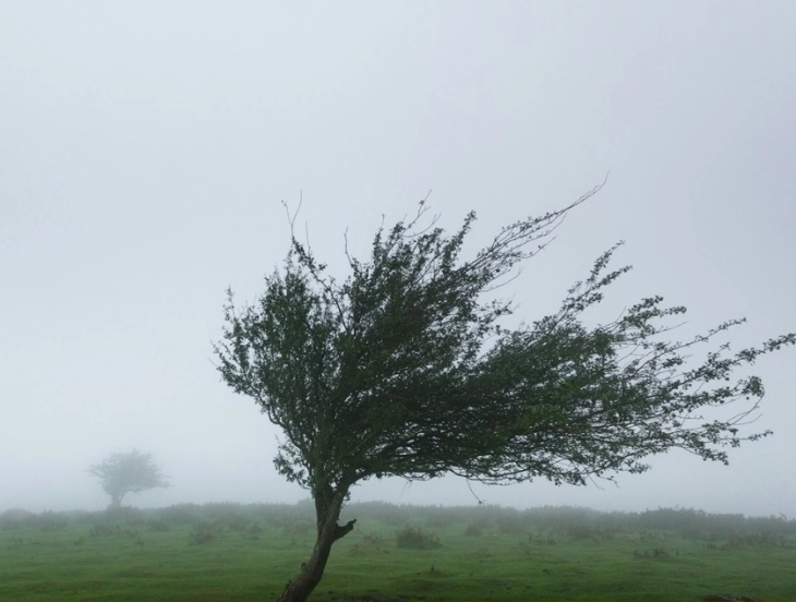 Belgjika është goditur nga stuhia 