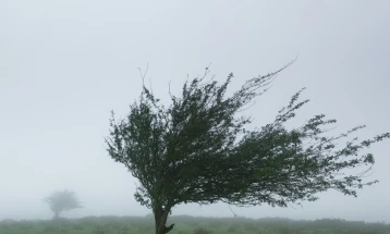 Belgjika është goditur nga stuhia 