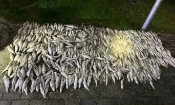 Притвор за двајца рибокрадци од Пештани, фатени со над сто килограми белвица