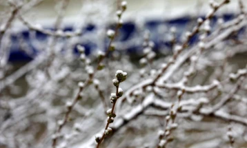 Променливо облачно и студено време со повремени врнежи од снег