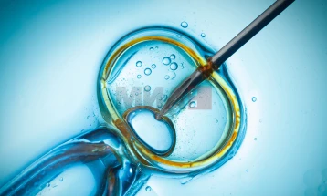 Научниците успеаја да подмладат човечки јајце-клетки - повеќе шанси за успех на ин-витро оплодувањето