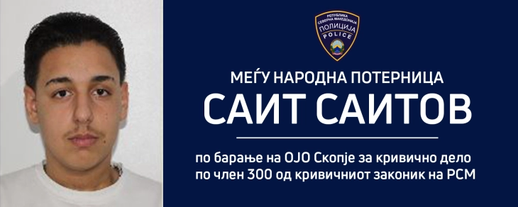 МВР распиша потерница по  18-годишникот што ја усмрти жената во Капиштец