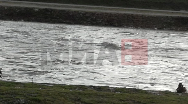 Ulen nivelet e lumenjve