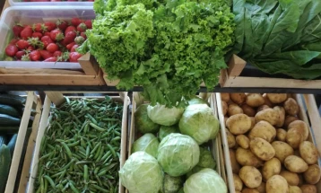 Општина Крива Паланка ќе субвенционира сертифицирање локални производители на органска храна