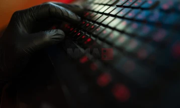 Прекугранична операција за сузбивање на глобален сервис за кибер-криминал