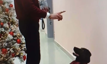 Лабрадор вклучен во терапевтскиот процес на Клиниката за психијатрија