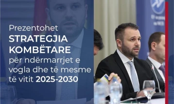 VLEN: Strategjia 2025–2030 e ministrit Durmishi, mbështetje konkrete për sipërmarrësit vendorë