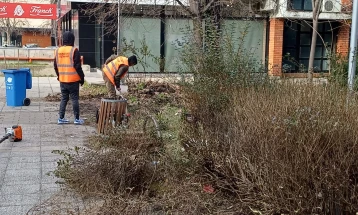 Vazhdon aksioni për mirëmbajtjen dhe pastrimin e hapësirave të gjelbra në Çair