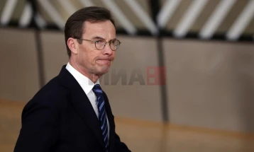 Премиер на Шведска во Давос: Нема да прифатиме закани поврзани со Гренланд