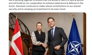 Rute: NATO po bashkëpunon me Danimarkën për të forcuar sigurinë në Arktik