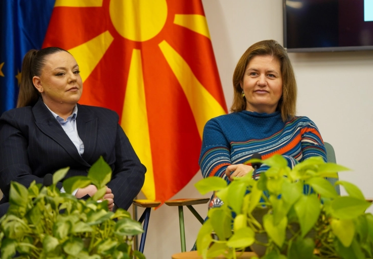 Bozhinovska: Energjia diellore është një nga shtyllat kryesore të tranzicionit energjetik të Maqedonisë