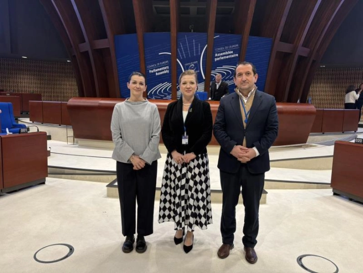 Delegacion i Kuvendit në sesionin plenar dimëror të APKE-së në Strasburg