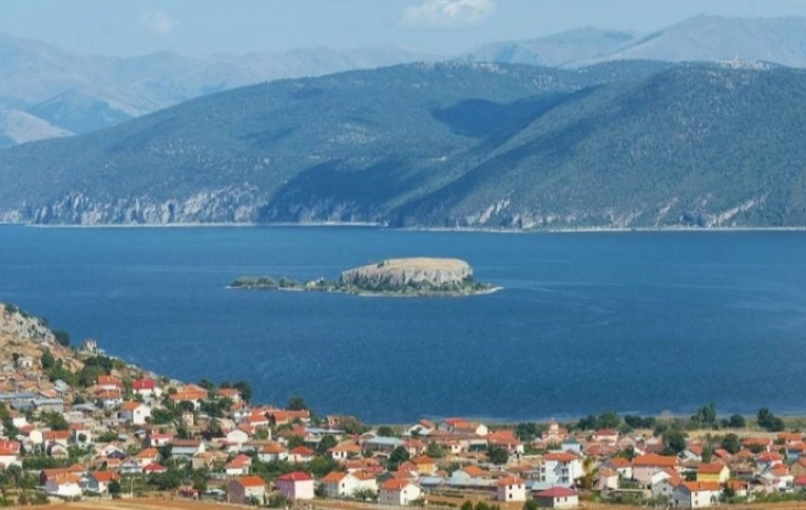 Реакција на „ВМРО-ДПМНЕ, Албанија