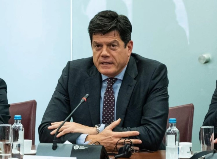 Рокас: Неопходно е обединување во државата за надминување на пречките за влез во ЕУ