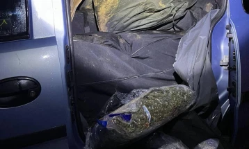 Police seize 150kg of marijuana, detain three