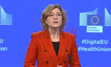 Виркунен: Со новата стратегија за визи се предлага поголема флексибилност за престој на превозниците од Западен Балкан во ЕУ