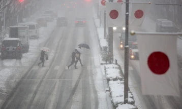 Обилните снежни врнежи однесоа 30 животи во Јапонија
