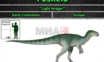 Мал диносаурус пронајден во Шпанија, научно „го пренапишува“ еволутивното дрво