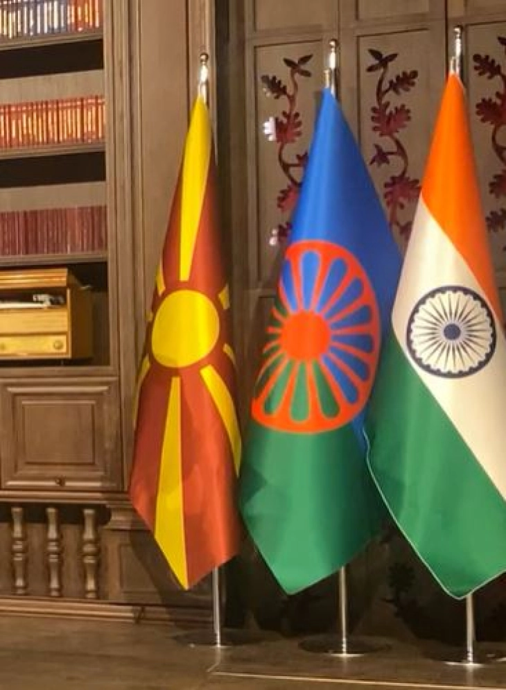 Партијата Демократски сили на Ромите се оградува од протестите на Ромите