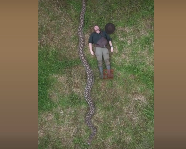 Змија долга 7,22 метри и тешка 96,5 килограми влезе во Гинисовата книга на рекорди