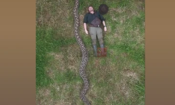 Змија долга 7,22 метри и тешка 96,5 килограми влезе во Гинисовата книга на рекорди