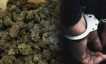 Пронајдена марихуана, приведени три лица, едното е во притвор