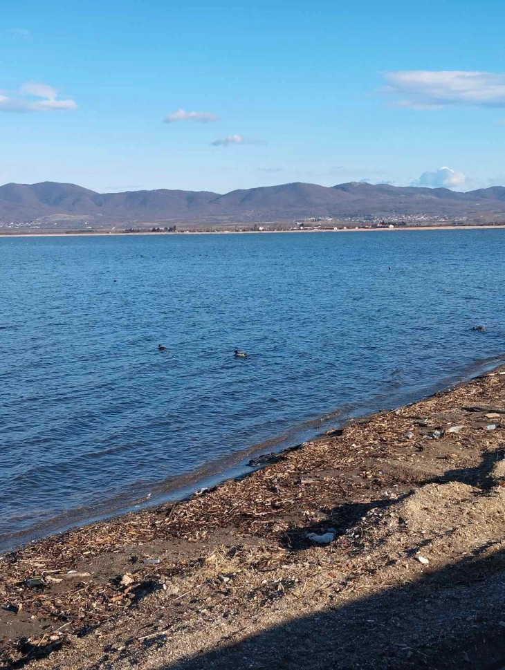 Врнежите го полнат Дојранското Езеро, водостојот зголемен за околу 50 сантиметри