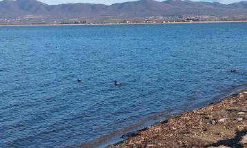 Врнежите го полнат Дојранското Езеро, водостојот зголемен за околу 50 сантиметри