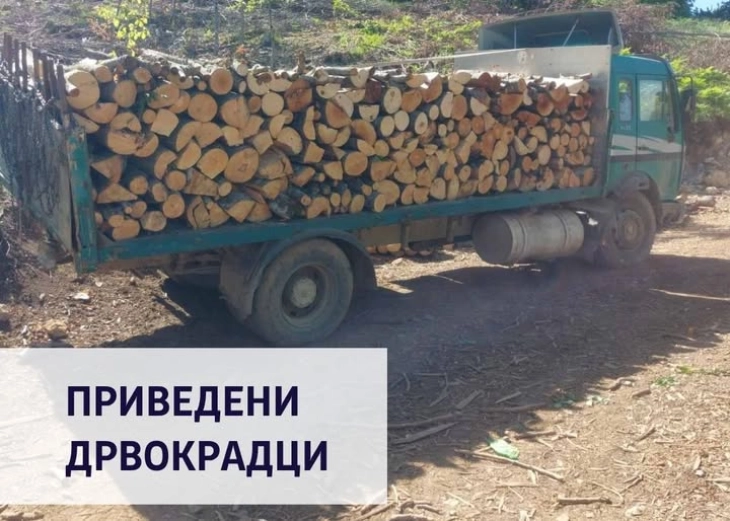 Кривична пријава против осум лица од Виница и виничко за кривични дела во врска со бесправна сеча и транспорт на огревно дрво